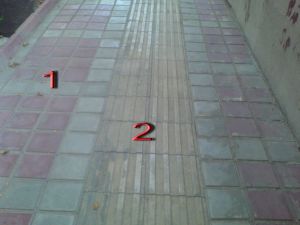 http://www.bassir.ir/wp-content/uploads/2012/01/05282678672825936140.jpg